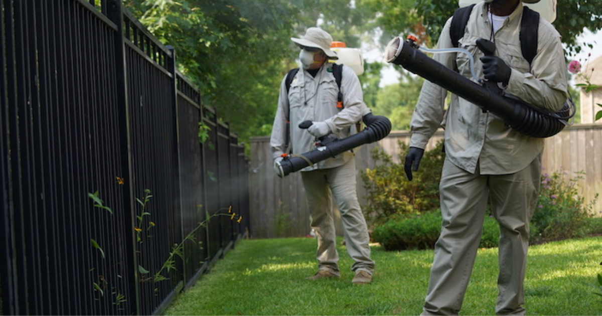 Organic Mosquito Control for Your Los Angeles Backyard This Summer